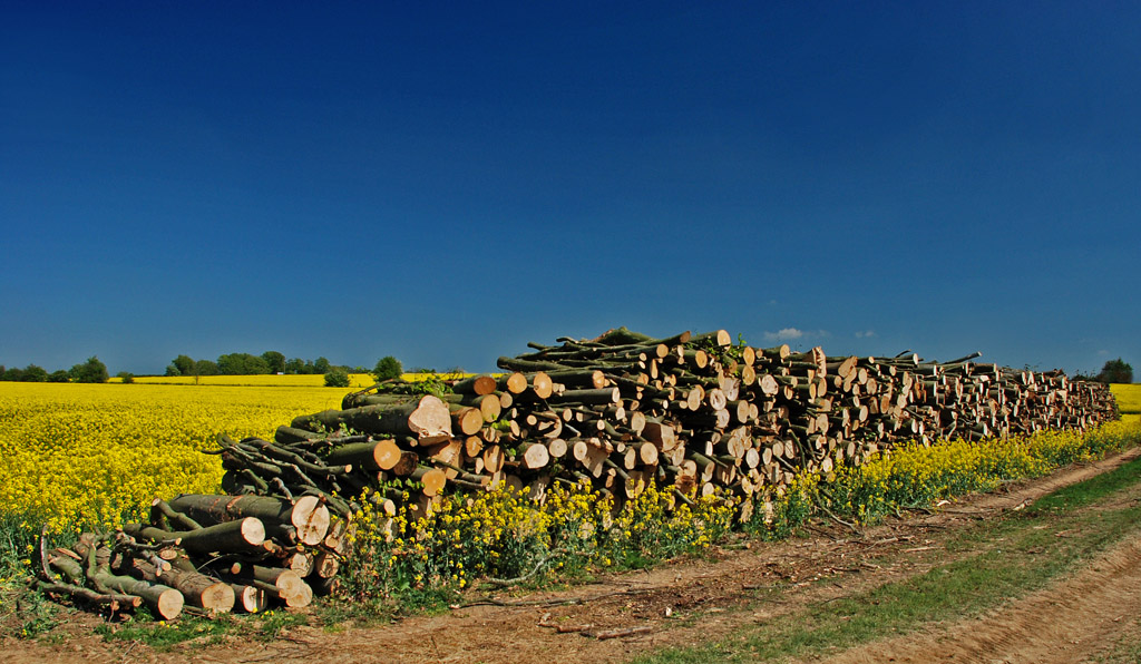 Woodpile