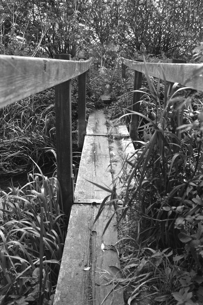 Bridge