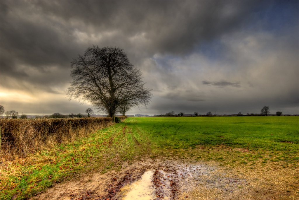 Solitary