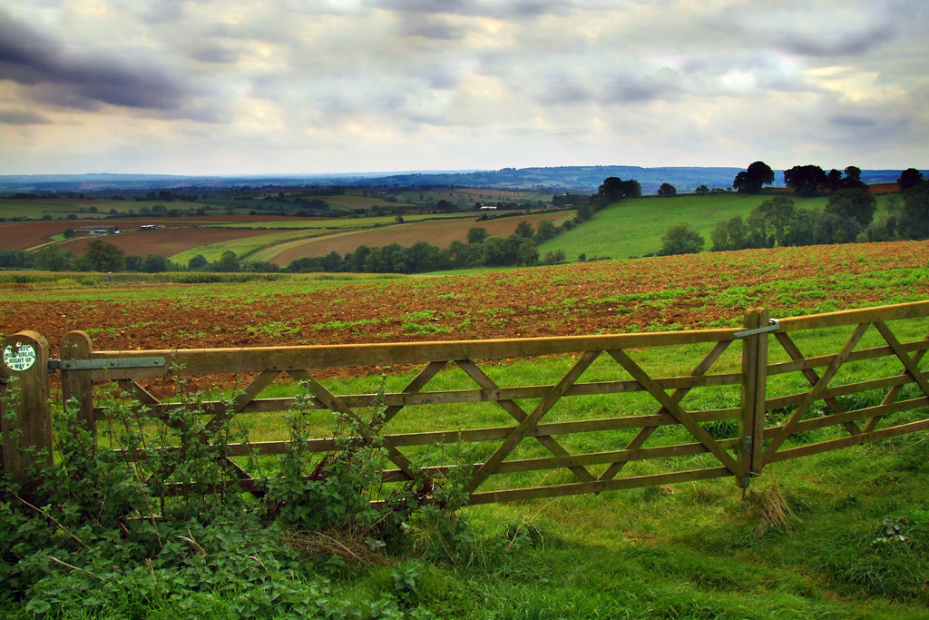 Expansive View