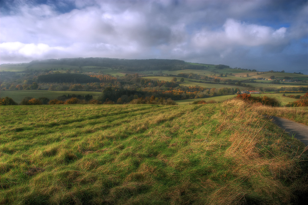 Gentle Autumn