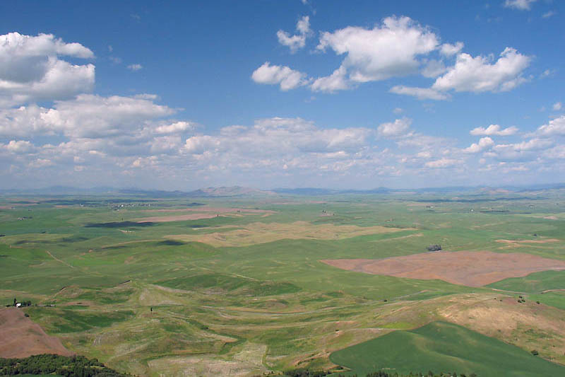 View from Steptoe Butte