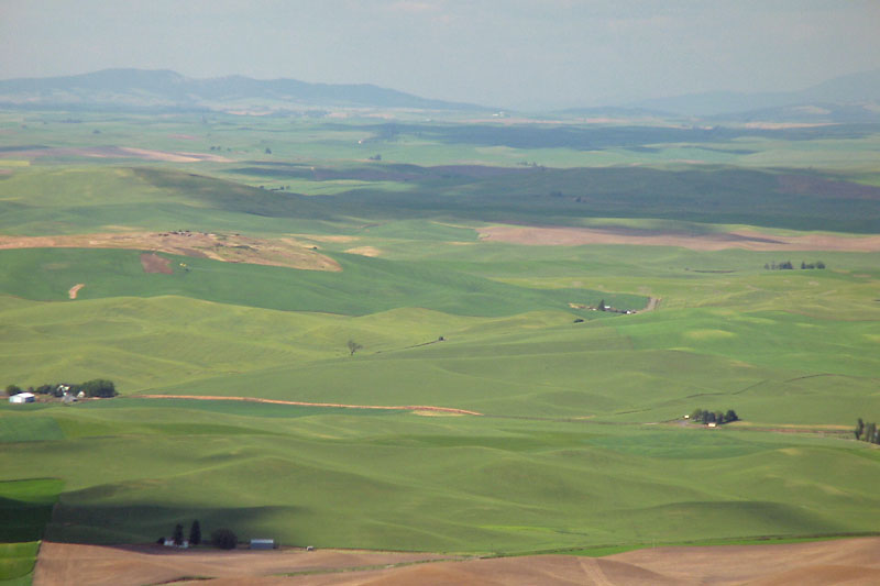 View from Steptoe Butte