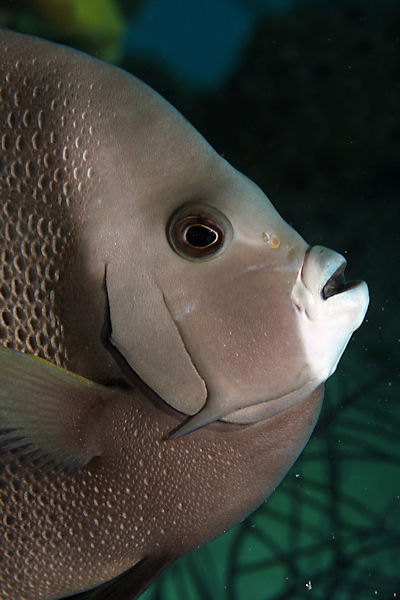 Pucker up!