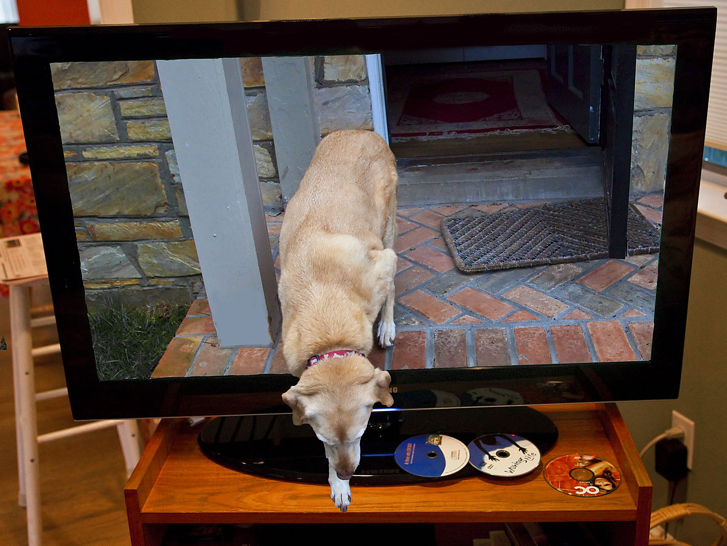 HDTV brings it right into your living room.....