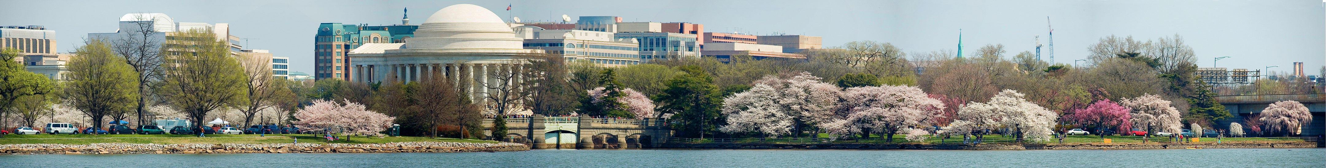 Jefferson Memorial in the cherry blossoms