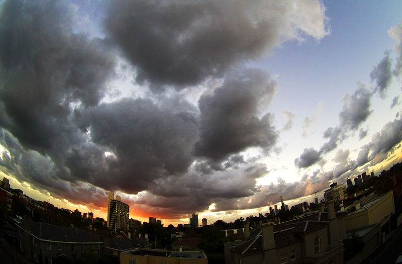P2285819_4wm.jpg