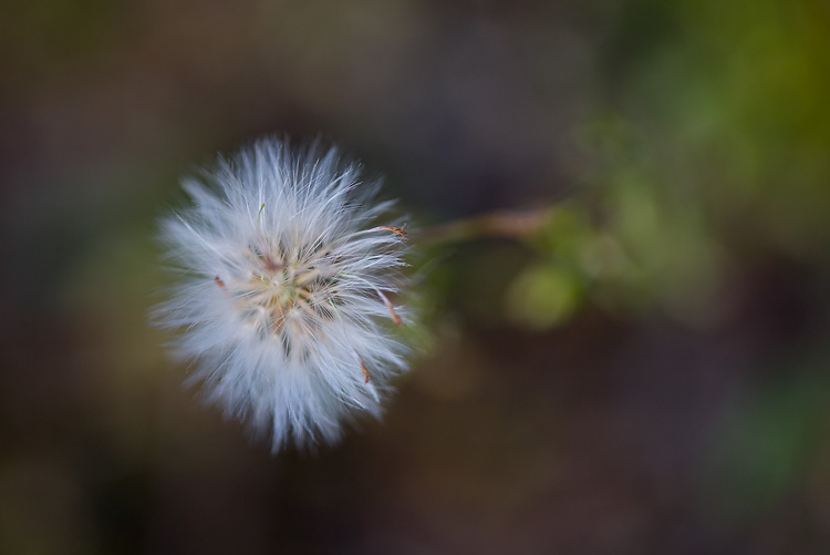 Sharp in Soft