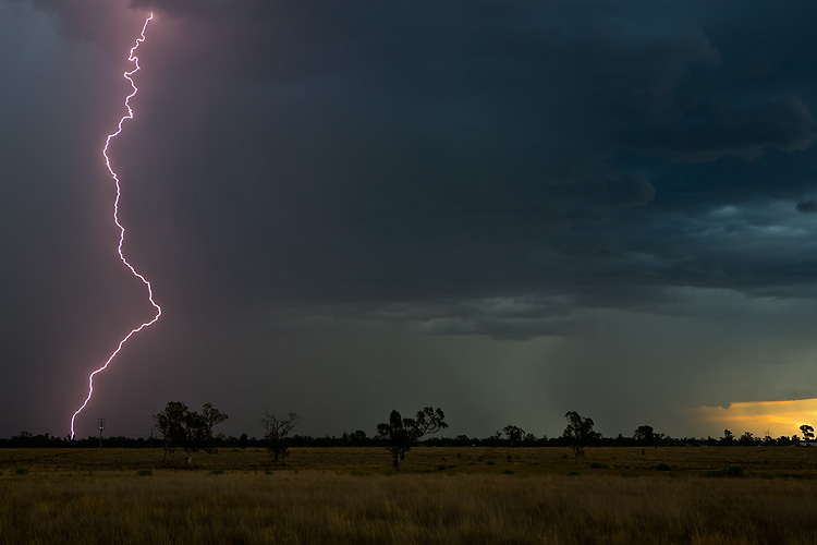 Roma Storms