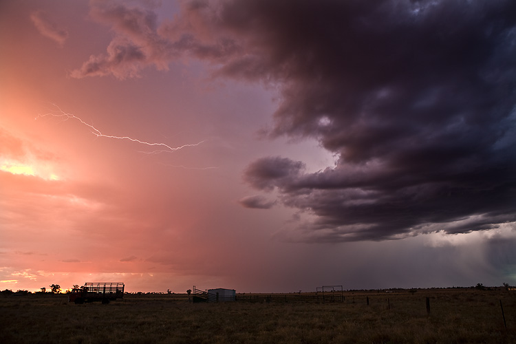 Roma Storms