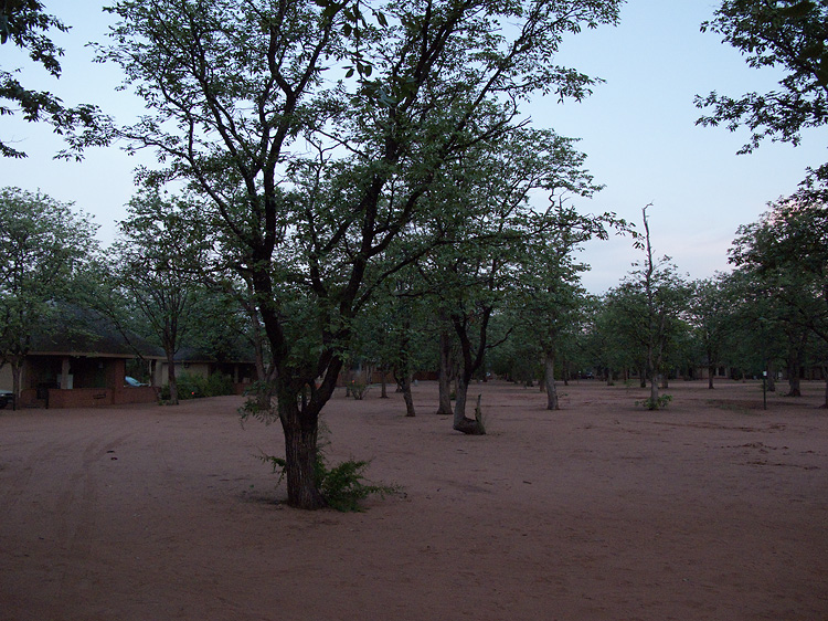 Shingwedzi Camp ~ Kruger National Park