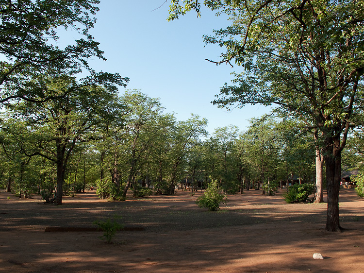 Shingwedzi Camp ~ Kruger National Park