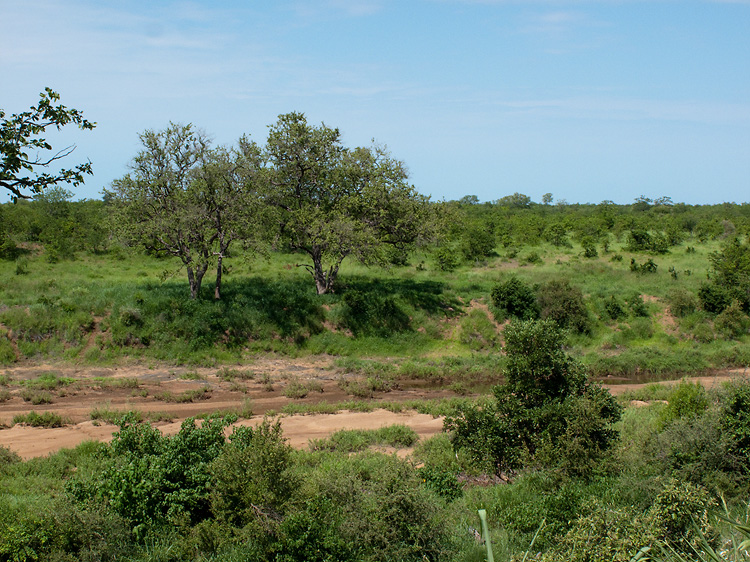 Kruger evirons