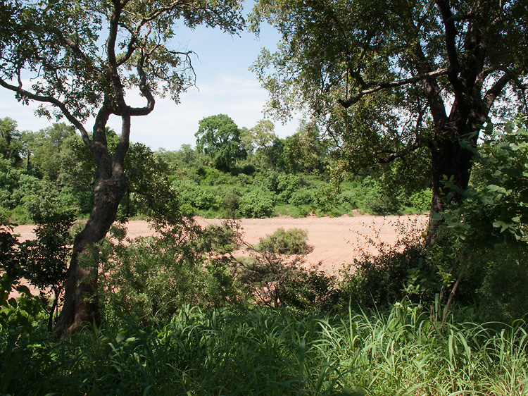 Kruger evirons