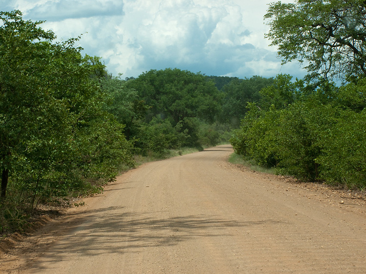 Kruger evirons
