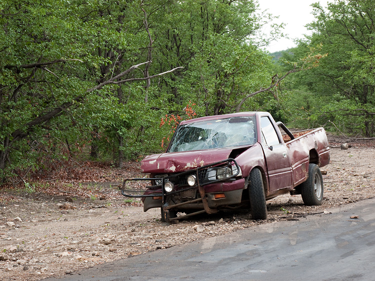 Elephant vs Ute