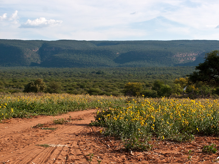 Moremi Gorge