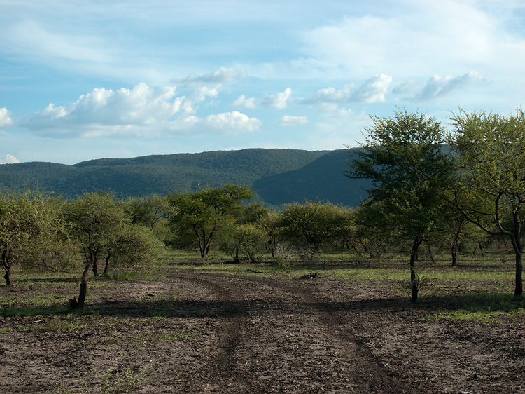 Moremi Gorge