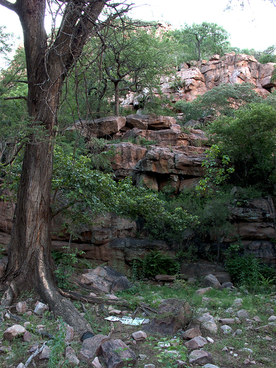 Moremi Gorge