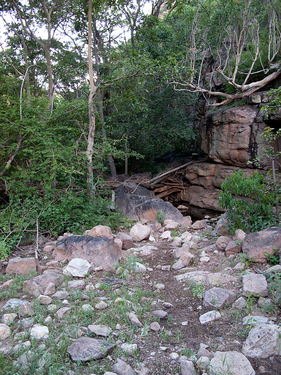 Moremi Gorge