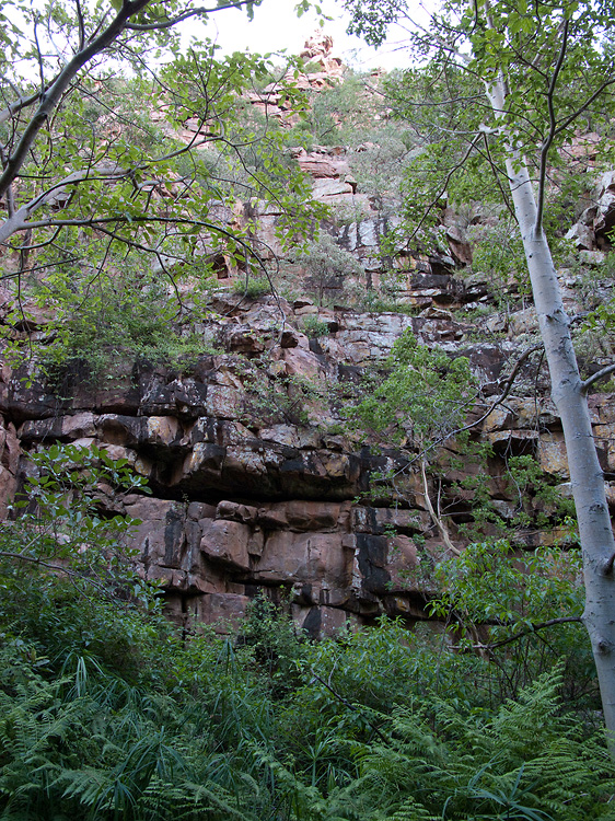 Moremi Gorge