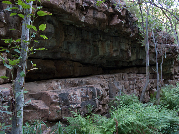 Moremi Gorge