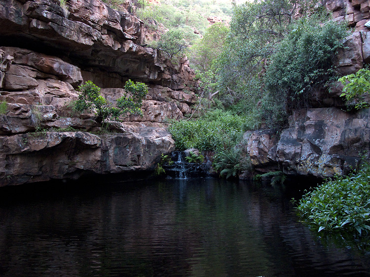 Moremi Gorge