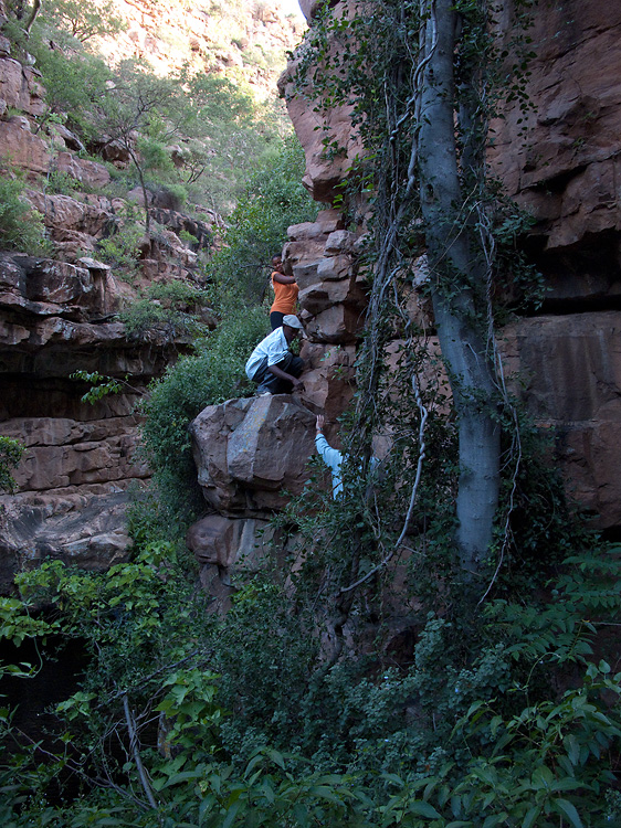 Moremi Gorge