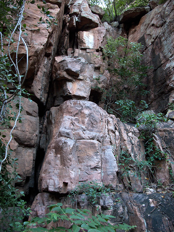 Moremi Gorge