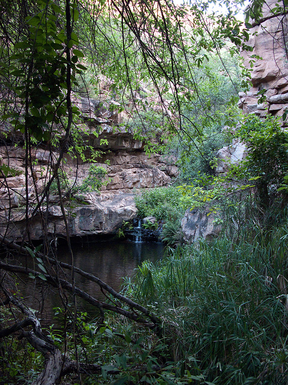 Moremi Gorge