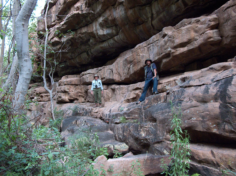 Moremi Gorge