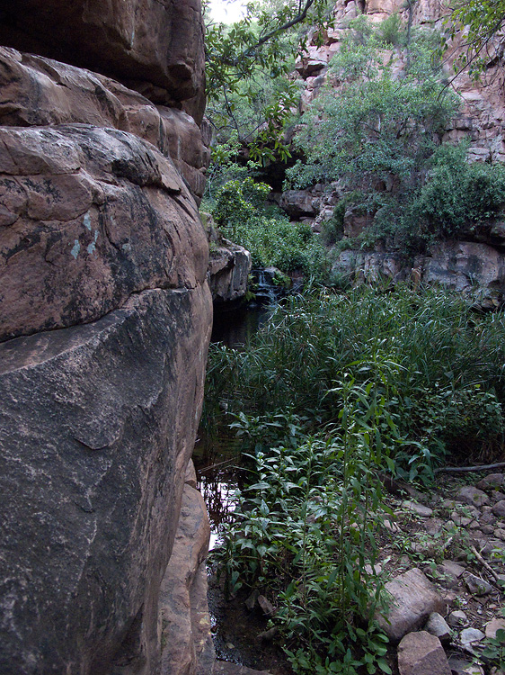 Moremi Gorge