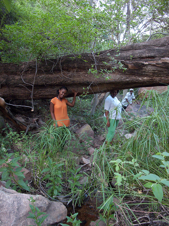 Moremi Gorge