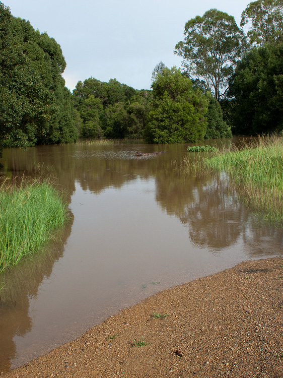 Flooding March 2010