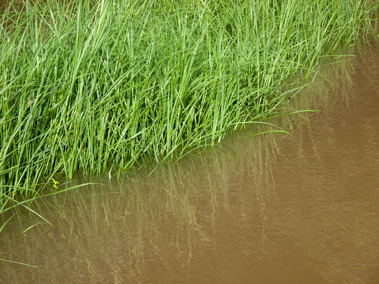 Flooding March 2010