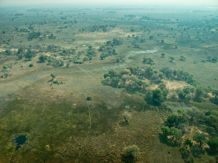 Delta from the air