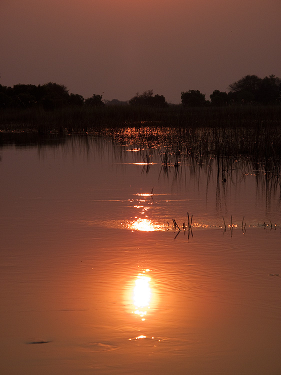 Delta Sunset III