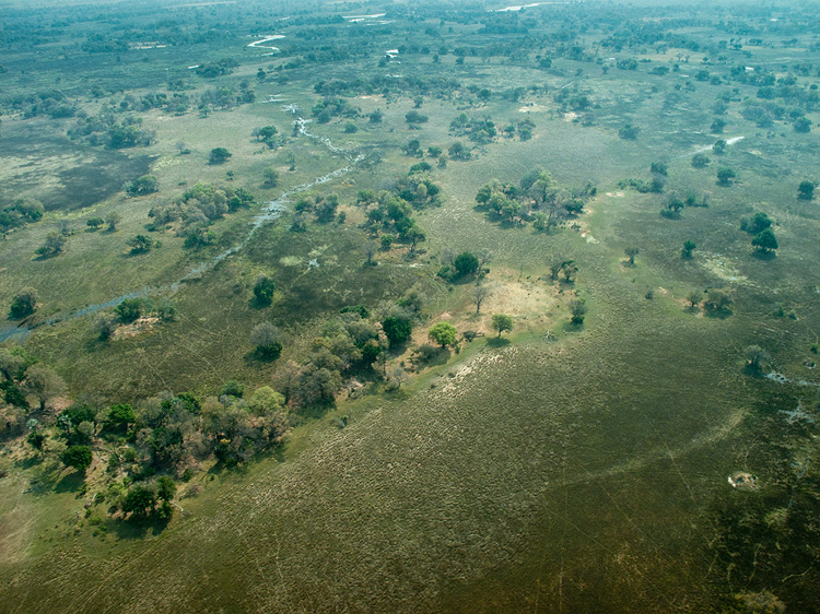 Delta from the air II