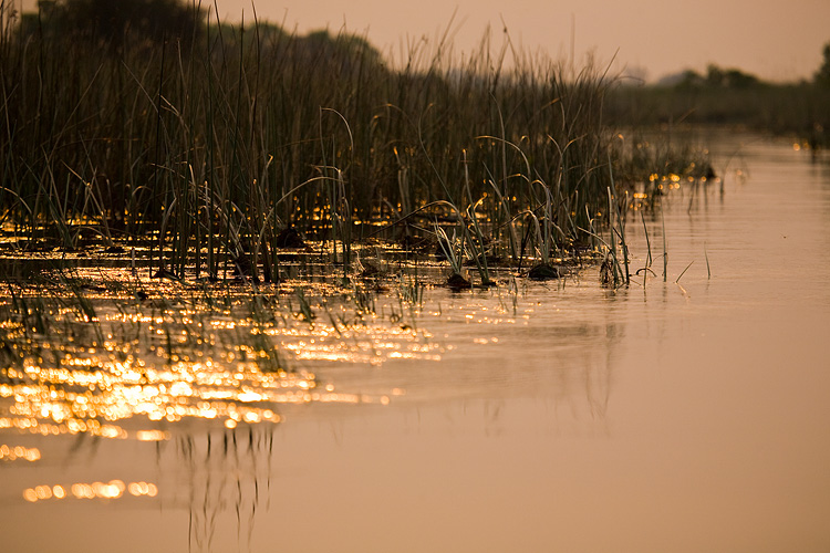 Delta Sunset I