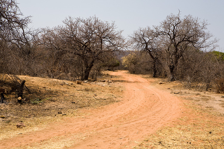 Road to Old Palapye