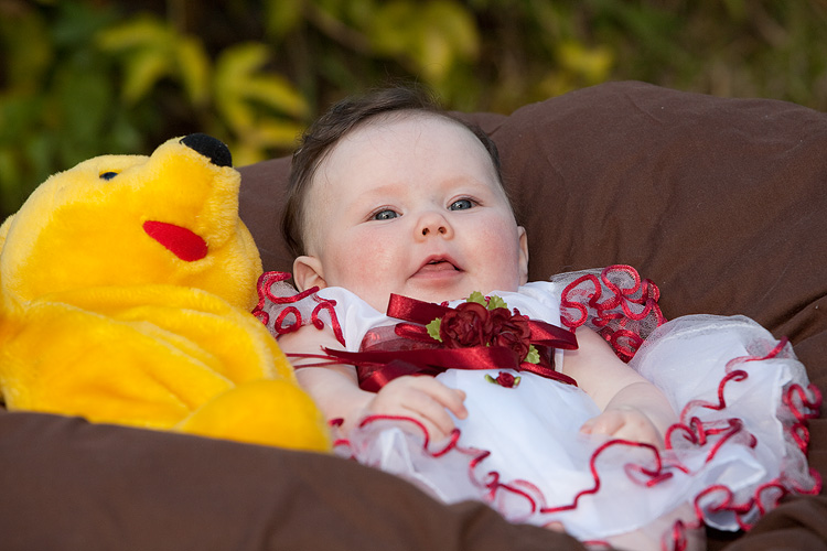 _MG_4362wp750.jpg