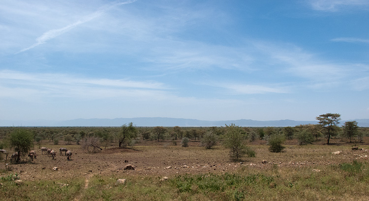 Tanzania