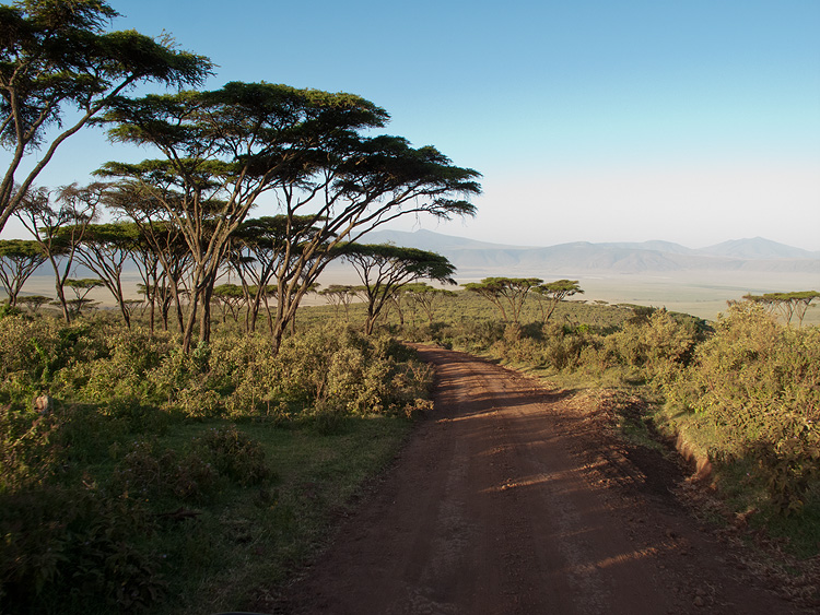 The road to the crater floor