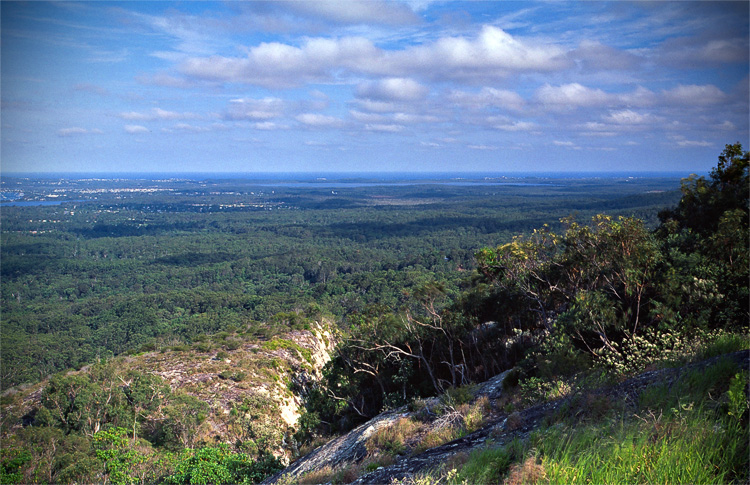 View to Noosa