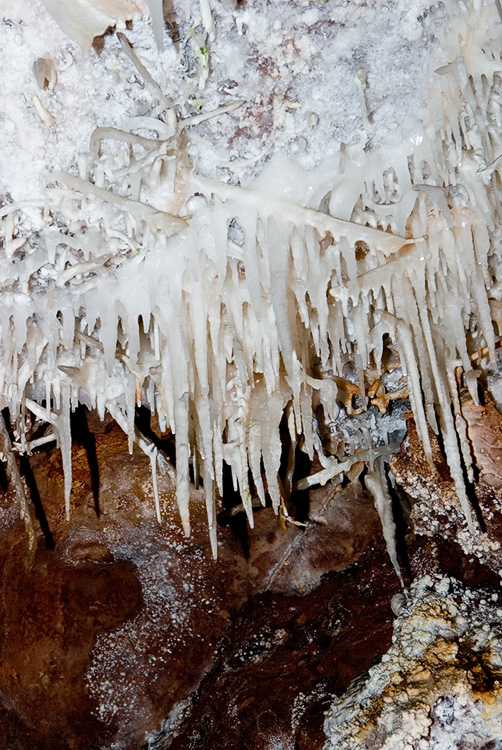 Jenolan Caves