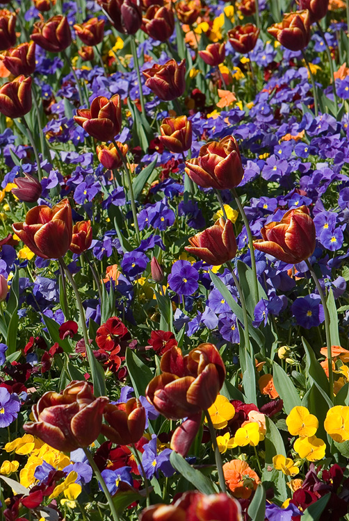 Floriade XXI