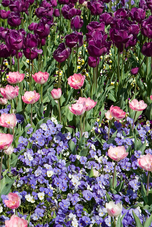 Floriade XVII