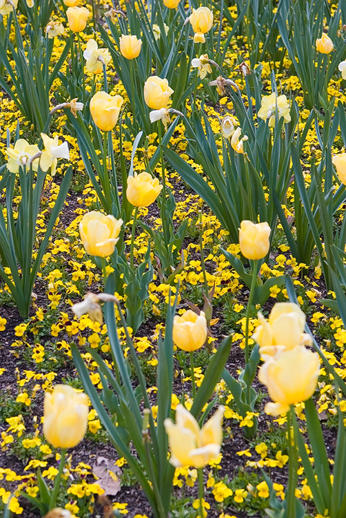 Floriade XIV