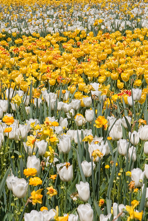 Floriade XII