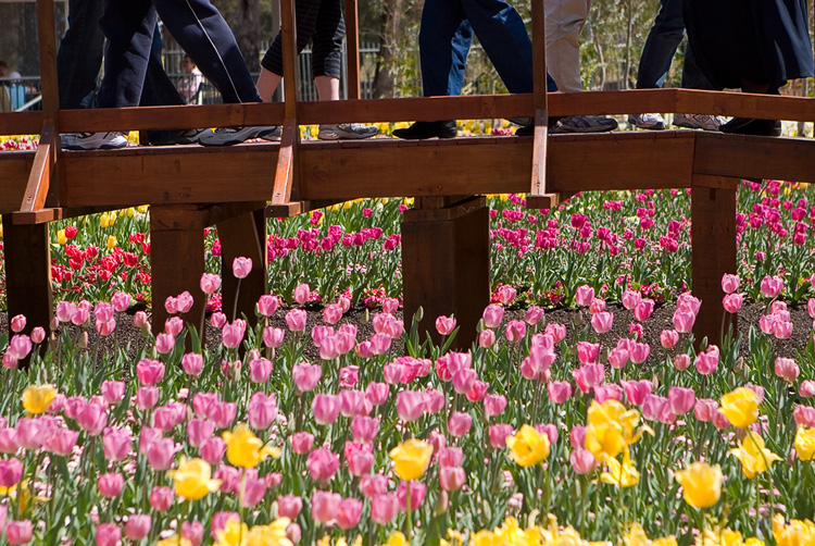 Floriade IX